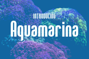 Aquamarina: The Typeface That Makes Your Designs Stand Out