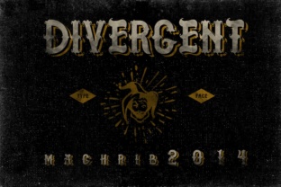 Divergent Typeface: Design, Use, and Appeal