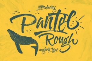 Pantel Rough: Typeface for Custom Design